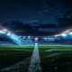Netherlands vs Sweden World Cup 2026: Group F Preview, Odds and Football Bingo Guide